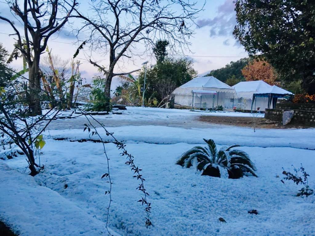 Tatva Bir Tents And Hotel Kangar Bagian luar foto